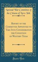 Report of the Committee Appointed to Take Into Consideration the Condition of Western Texas (Classic Reprint)