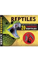 Creature Files: Reptiles