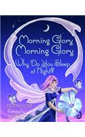 Morning Glory