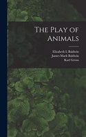 Play of Animals
