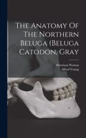 Anatomy Of The Northern Beluga (beluga Catodon, Gray