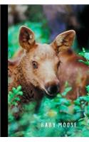 Baby Moose