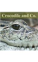 Crocodile and Co. 2017