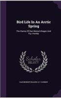 Bird Life In An Arctic Spring