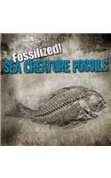 Sea Creature Fossils