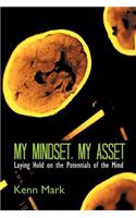 My Mindset, My Asset