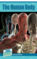 Human Body