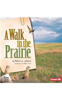 A Walk in the Prairie
