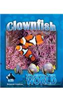 Clownfish