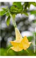 Angel's Trumpet Planner