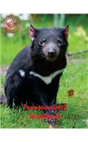 Tasmanian Devil Sketchbook