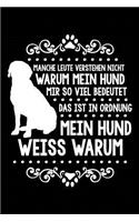 Hund Weiß Warum