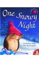 One Snowy Night