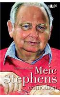 Cofnodion - Hunangofiant Meic Stephens