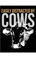 Easily Distracted by Cows