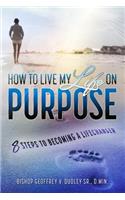 How to Live My Life on Purpose