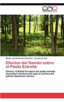 Efectos del Saman Sobre El Pasto Estrella