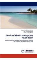 Sands of the Brahmaputra River Basin