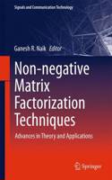 Non-Negative Matrix Factorization Techniques