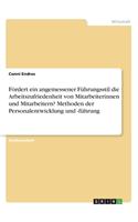 Fördert ein angemessener Führungsstil die Arbeitszufriedenheit von Mitarbeiterinnen und Mitarbeitern? Methoden der Personalentwicklung und -führung