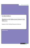 Regulation der Kälteschock-Antwort bei Bakterien