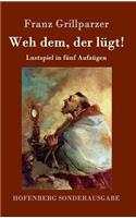 Weh dem, der lügt!: Lustspiel in fünf Aufzügen(German)