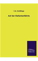 Auf der Elefantenfährte