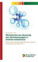 Otimização da absorção por fenomenologia e análise estatística
