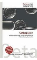 Cathepsin H: (English)