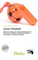 James Tshekedi: (English)
