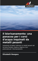 biorisanamento