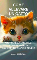 Come allevare un gatto