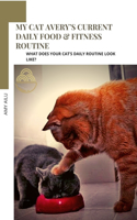 My Cat Avery's Current Daily Food & Fitness Routine: What Does Your Cat's Daily Routine Look Like?
