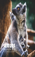 Lemurs Calendar 2021