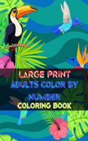 Large Print Adults Color By Number Coloring Book