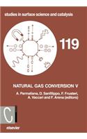 Natural Gas Conversion V