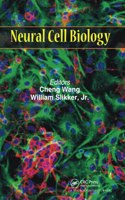 Neural Cell Biology