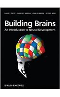 Building Brains