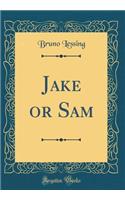Jake or Sam (Classic Reprint)