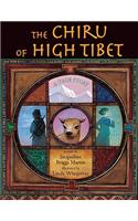 Chiru of High Tibet
