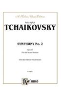 Symphony No. 2 in C Minor, Op. 17 (Little Russian): Little Russian
