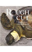 Rough Cut