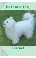 Havanese Dog Journal: Notebook, Planner, Diary, Gift for Havanese Lovers.