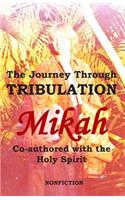 Journey Through Tribulation