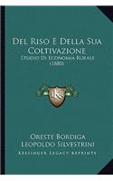 Del Riso E Della Sua Coltivazione