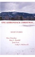 One Adirondack Christmas...