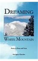 Dreaming White Mountain