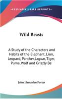 Wild Beasts