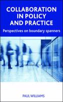 Collaboration in Public Policy and Practice: Perspectives on Boundary Spanners