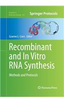 Recombinant and in Vitro RNA Synthesis